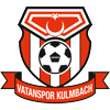 Vatanspor Kulmbach Logo